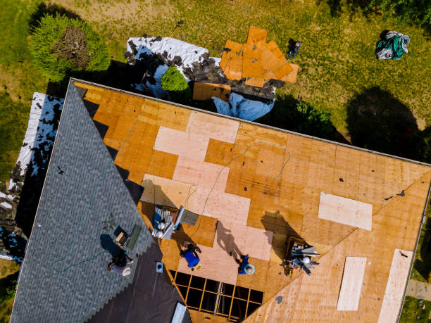 Best Roof Gutter Cleaning  in Contra Costa Centre, CA